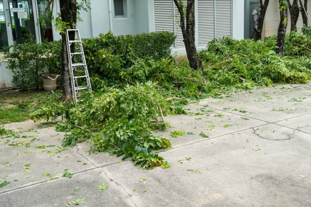 Best Pest Control for Lawns  in West Long Branch, NJ